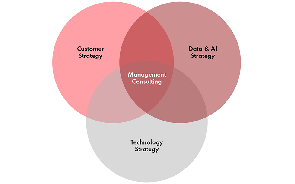 Customer strategy,  Data & AI strategy,  Technology strategy, Management consulting 